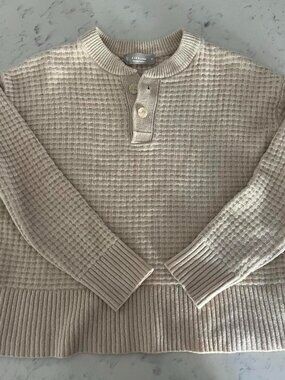 Everlane Tan Cashmere Sweater